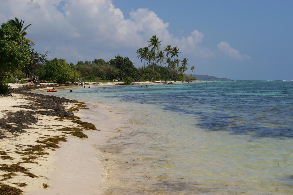 Kaz Creole Aventure Tropicale Insolite, Fibre, Jardin Et Jacuzzi Prives Saint-Francois  Eksteriør bilde