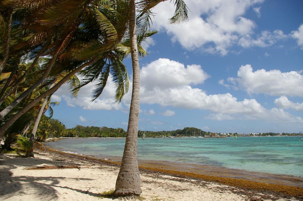Kaz Creole Aventure Tropicale Insolite, Fibre, Jardin Et Jacuzzi Prives Saint-Francois  Eksteriør bilde