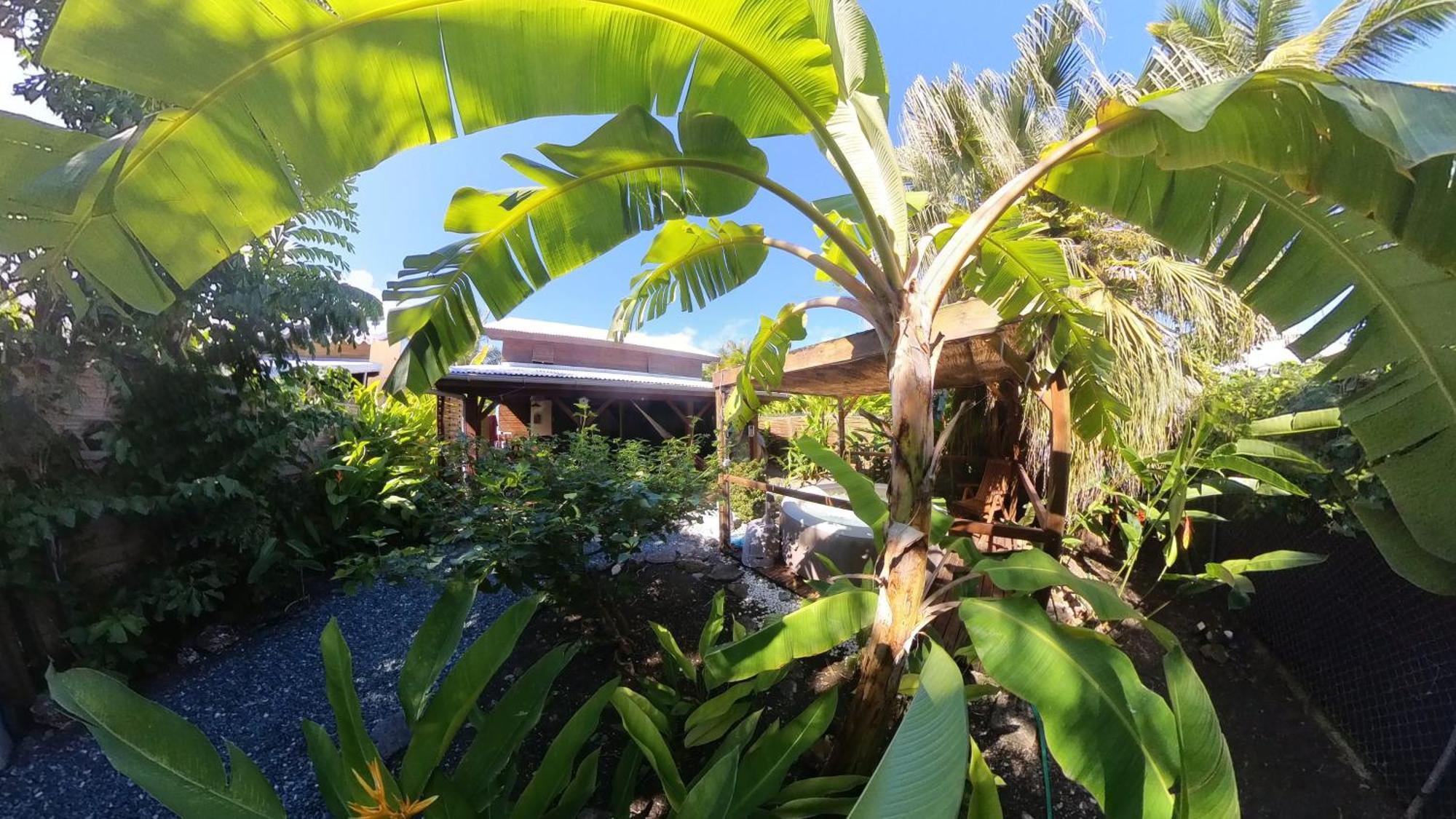 Kaz Creole Aventure Tropicale Insolite, Fibre, Jardin Et Jacuzzi Prives Saint-Francois  Eksteriør bilde