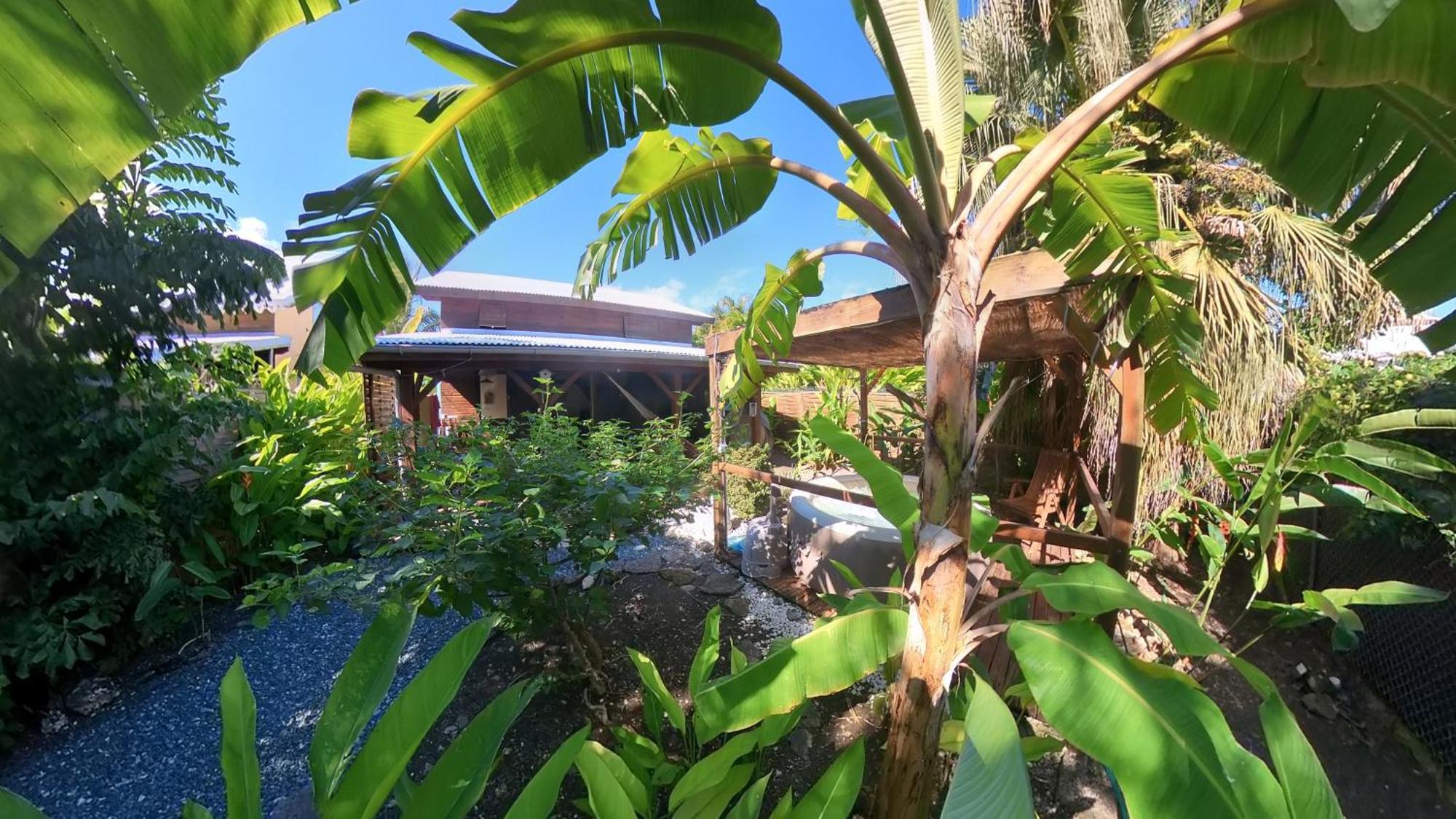 Kaz Creole Aventure Tropicale Insolite, Fibre, Jardin Et Jacuzzi Prives Saint-Francois  Eksteriør bilde